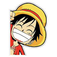 貴公司的定價(jià)水平如何？